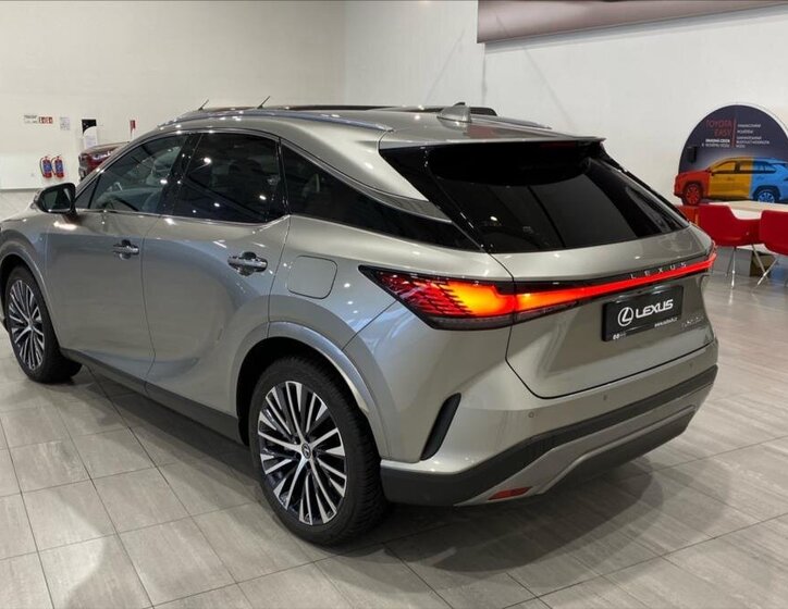 Lexus RX 450h plus 8