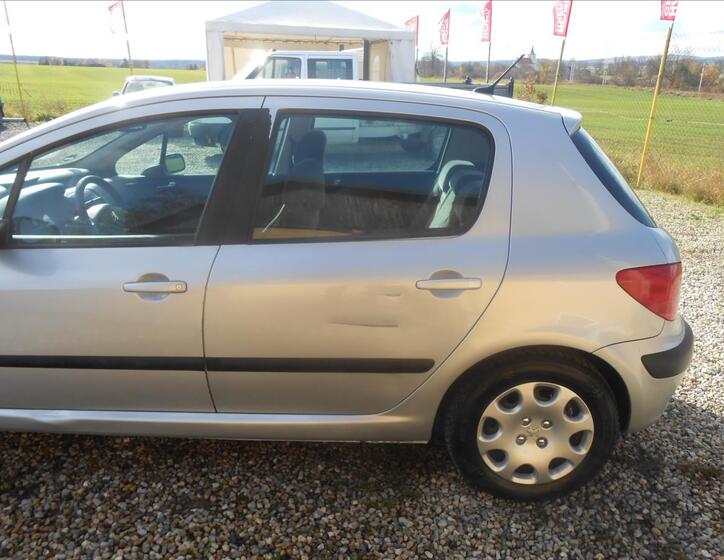 Peugeot 307 9