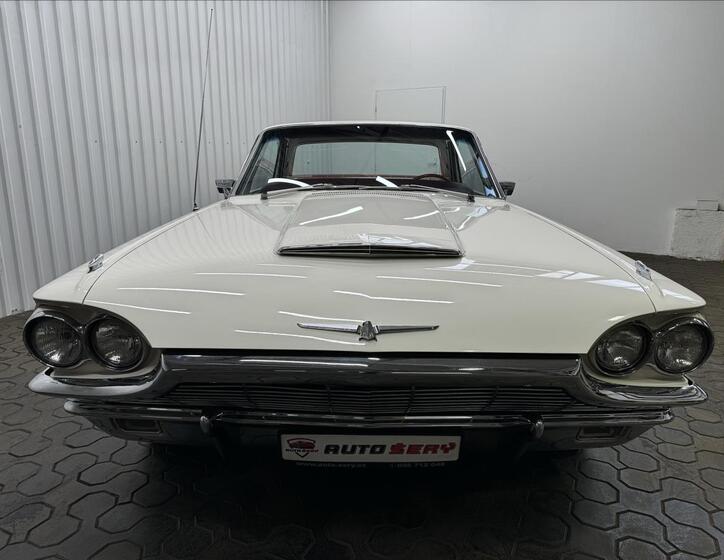 Ford Thunderbird 13