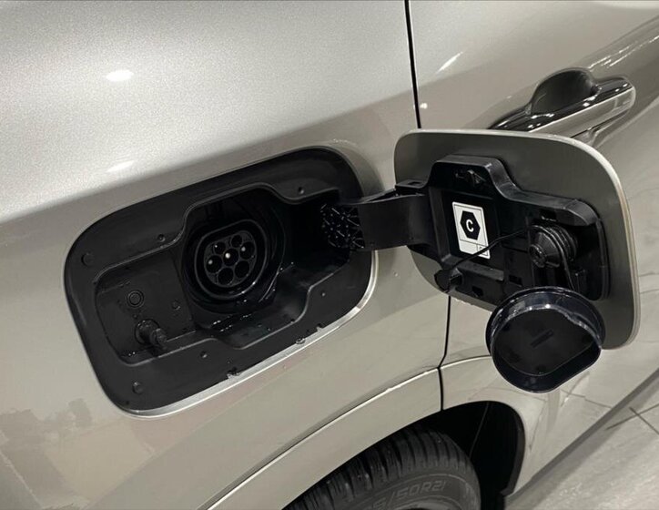 Lexus RX 450h plus 21