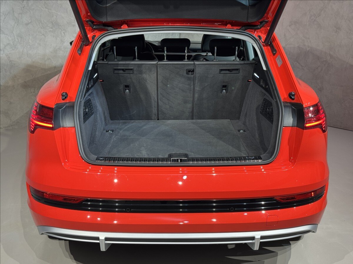 Audi e-tron SUV / Terénní 0,0 300 kw