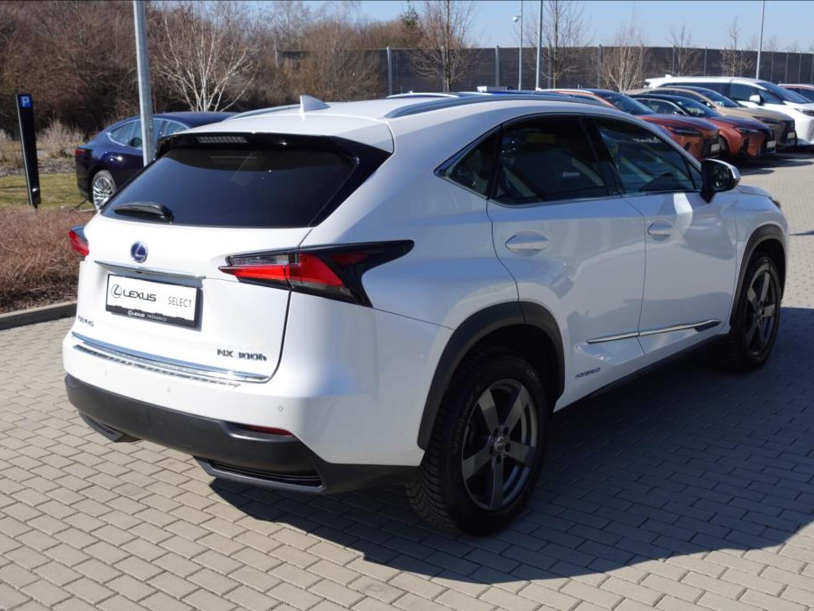 Lexus NX 300h 5