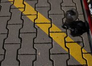 Volkswagen Arteon Kombi 2,0 l 147 kw