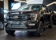 Ford F-150 Pick-up 5,0 l 298 kw