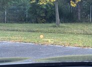 BMW Řada 5 Kombi 0,0 0