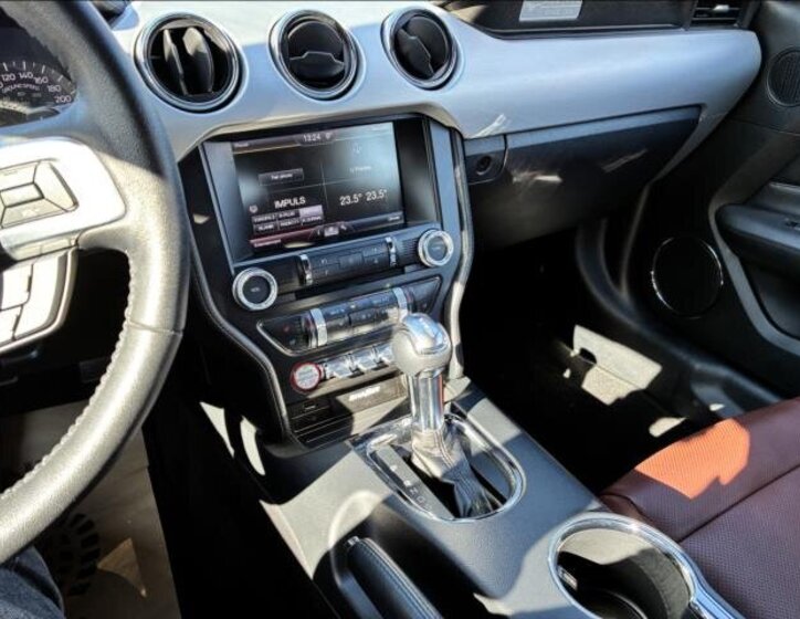 Ford Mustang Kabriolet 5,0 l 310 kw