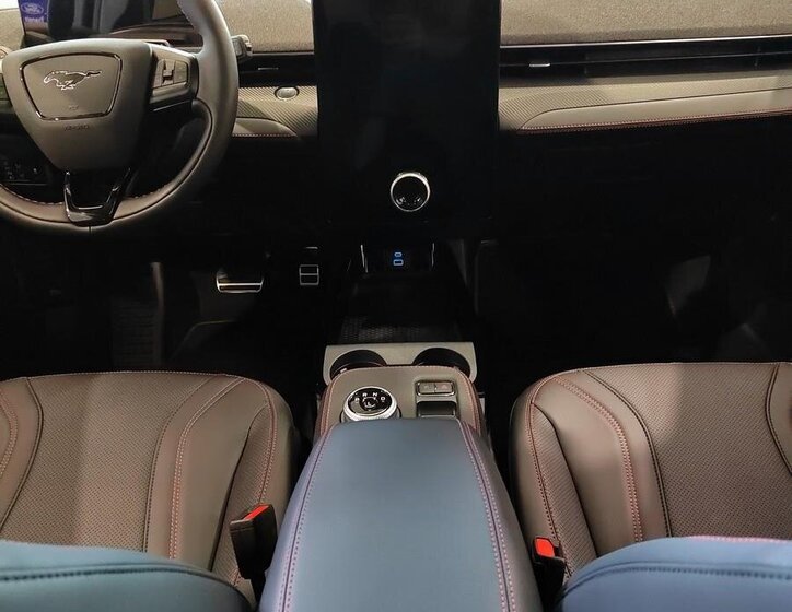 Ford Mustang Mach-E SUV / Terénní 0,0 198 kw