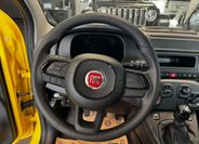 Fiat Panda 11