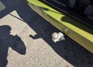 Volkswagen Caravelle VAN / Minibus 2,0 l 125 kw