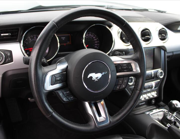 Ford Mustang 14