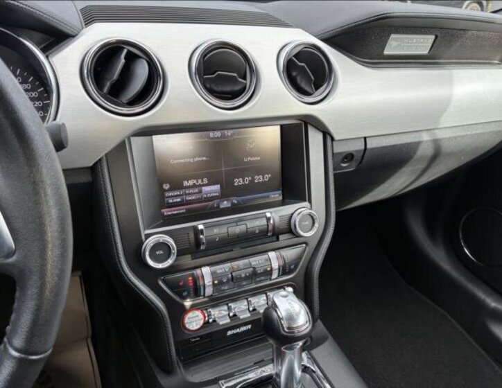 Ford Mustang Kabriolet 5,0 l 310 kw