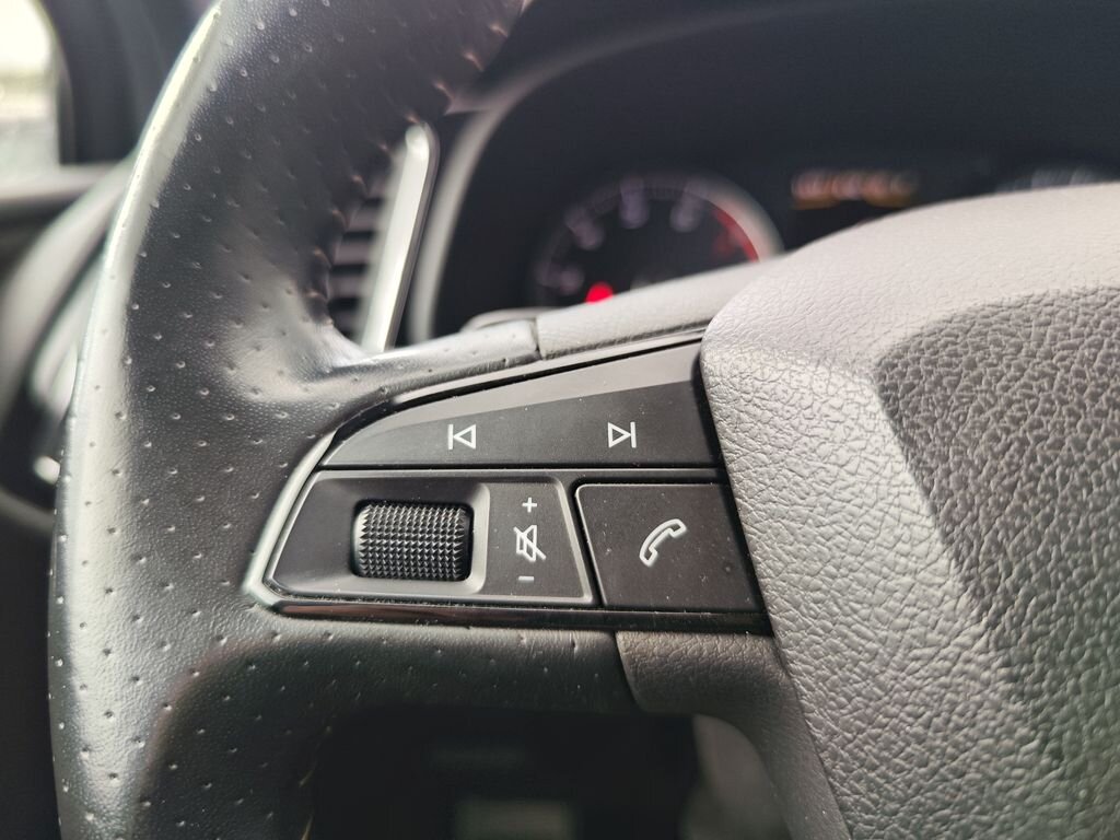 Seat Leon Hatchback 2,0 l 221 kw
