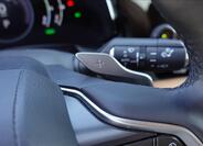 Lexus NX 450h plus 29