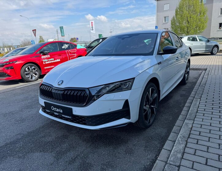 Škoda Octavia Sedan / Limuzína 2,0 l 110 kw