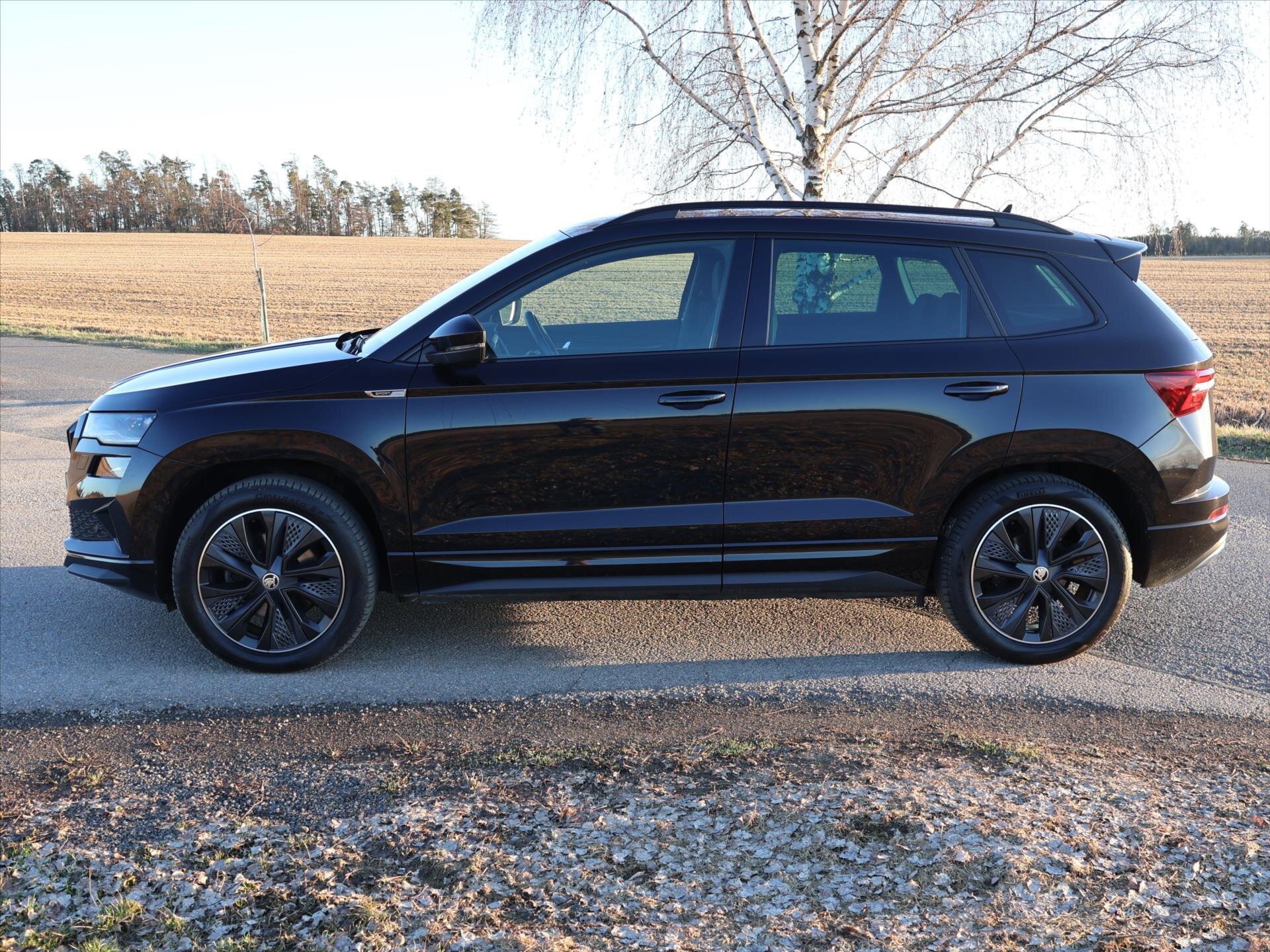 Škoda Karoq SUV / Terénní 2,0 l 140 kw