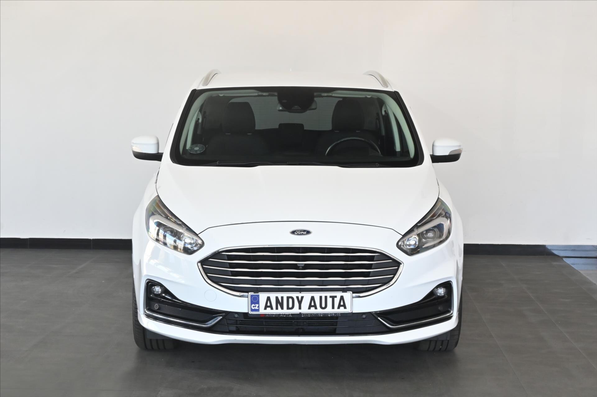 Ford S-MAX MPV 2,0 l 140 kw