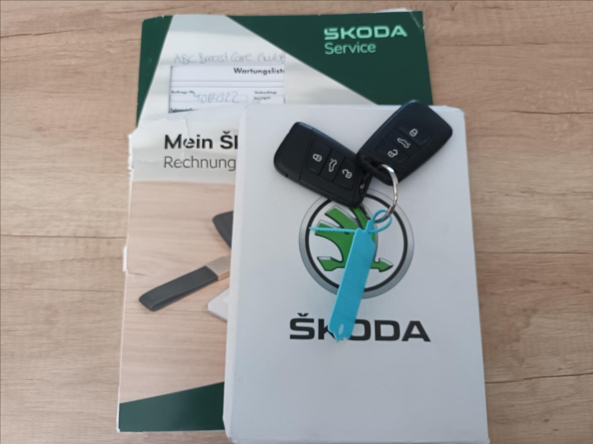 Škoda Karoq SUV / Terénní 2,0 l 110 kw