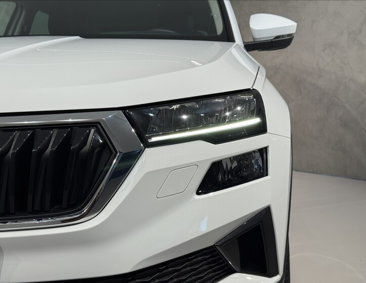 Škoda Karoq 6