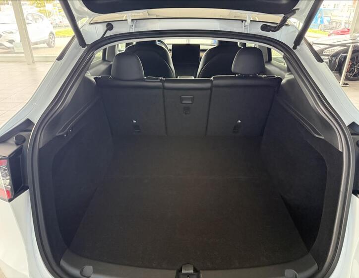 Tesla Model Y 22