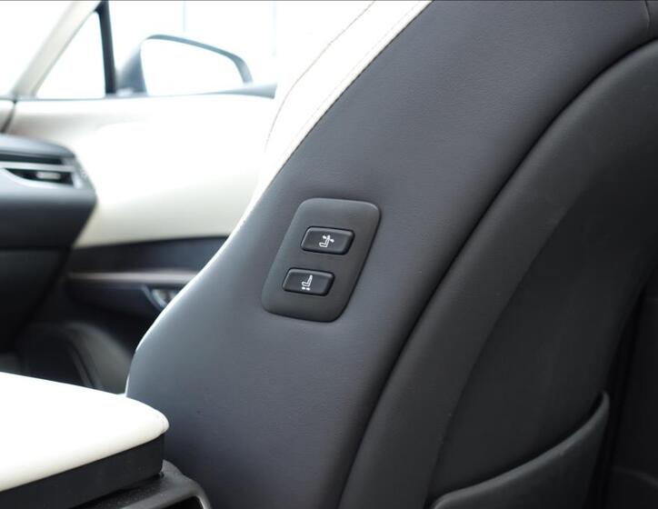 Lexus RX 450h plus 41