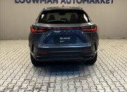 Lexus NX 350h 12