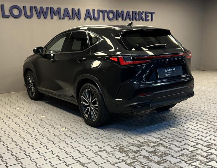 Lexus NX 450h plus 13