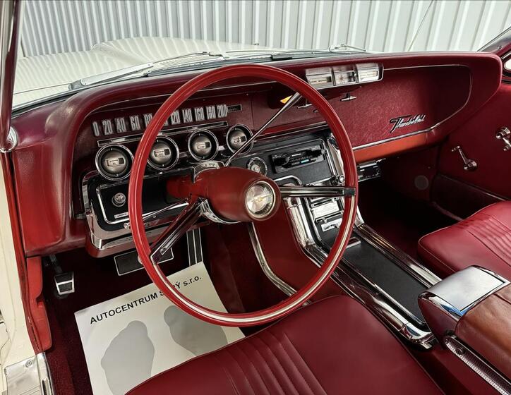 Ford Thunderbird 29