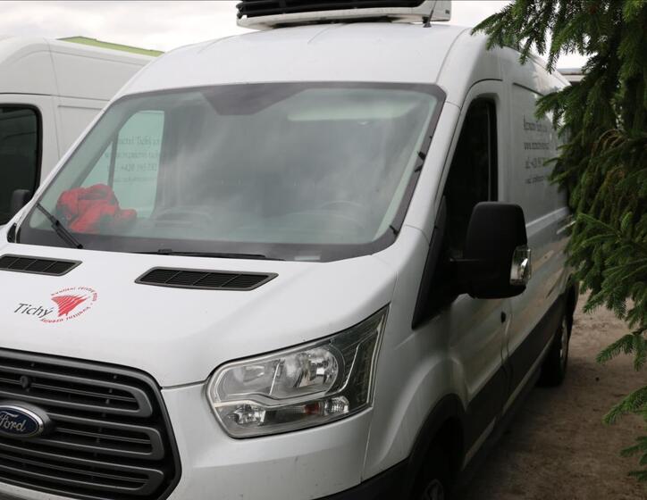 Ford Transit 1