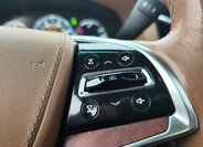 Cadillac Escalade 31