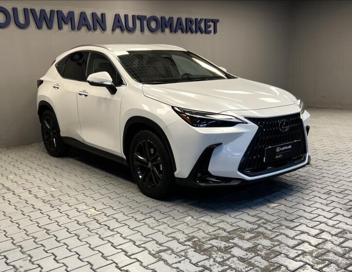 Lexus NX 350h 11