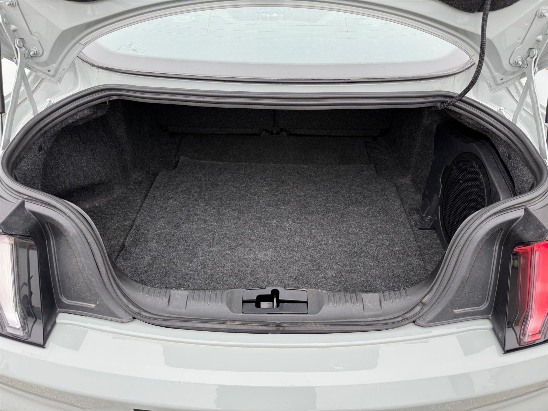 Ford Mustang Kupé 5,0 l 338 kw