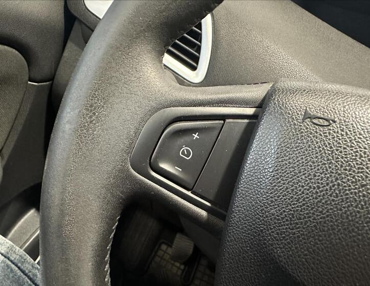 Renault Grand Scénic 27