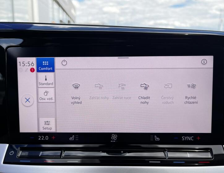 Ford Tourneo Connect 38