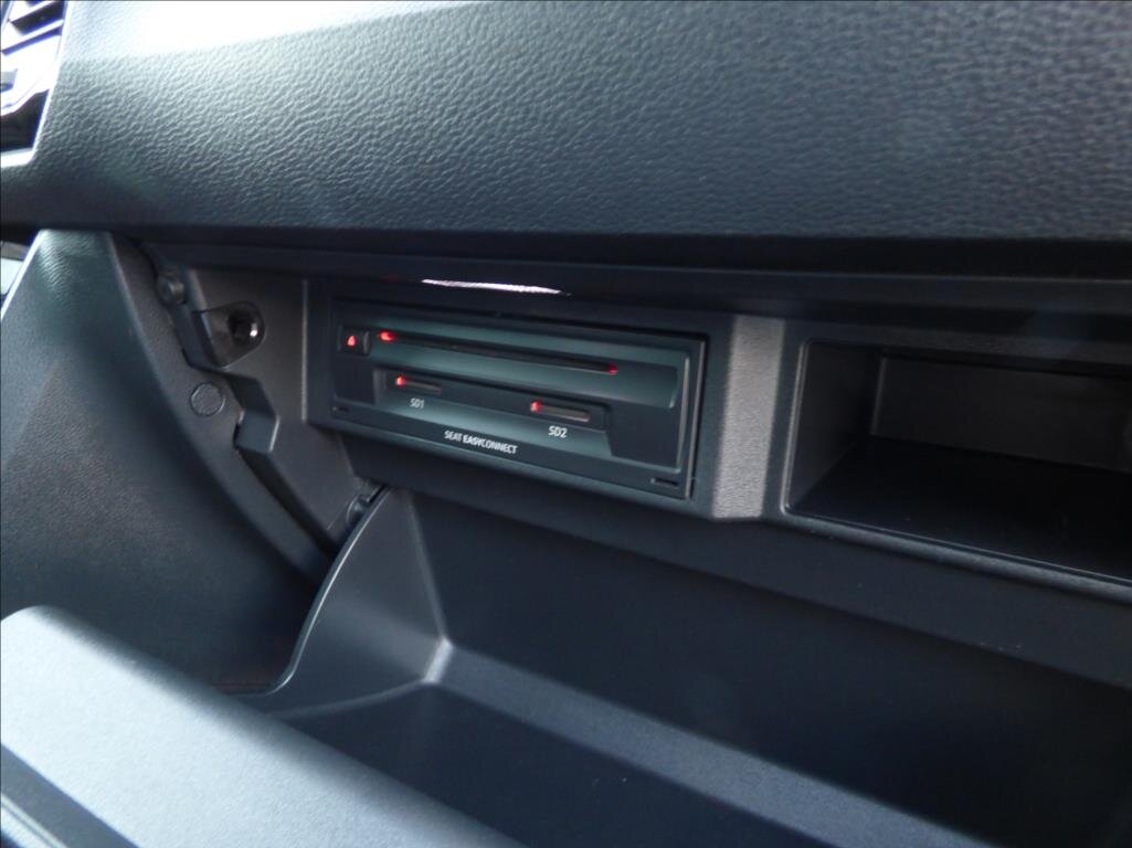 Cupra Ateca SUV / Terénní 2,0 l 221 kw