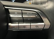 Mazda MX-30 SUV / Terénní 0,0 107 kw