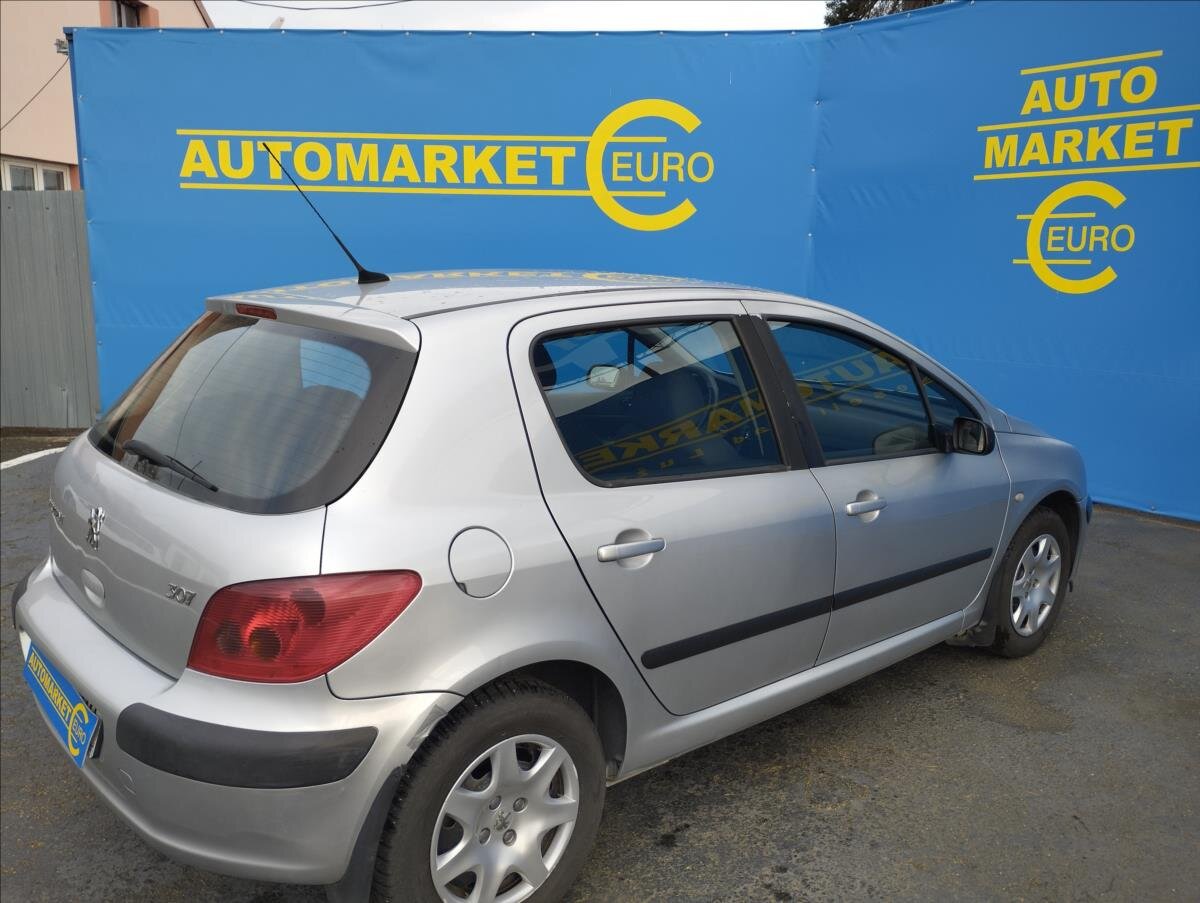 Peugeot 307 Hatchback 1,4 l 55 kw