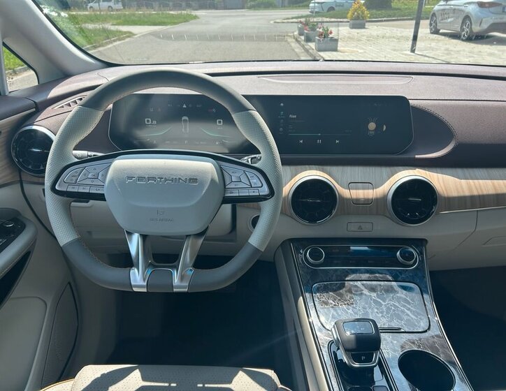 Dongfeng Ostatní 10