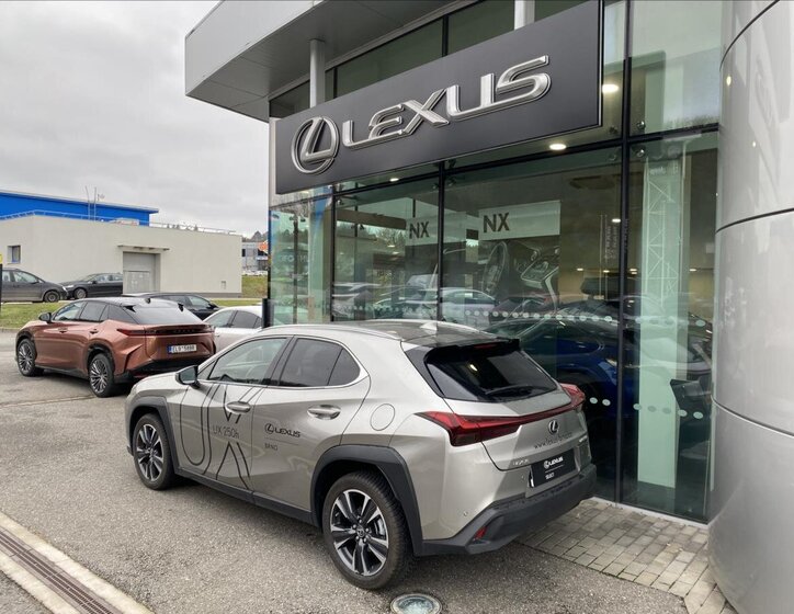 Lexus UX 250h 3