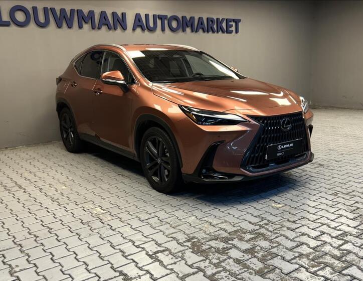 Lexus NX 450h plus 11