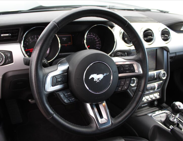 Ford Mustang 14