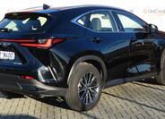 Lexus NX 350h 3