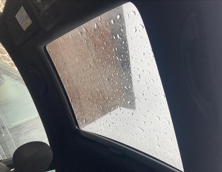 Volkswagen Beetle 20