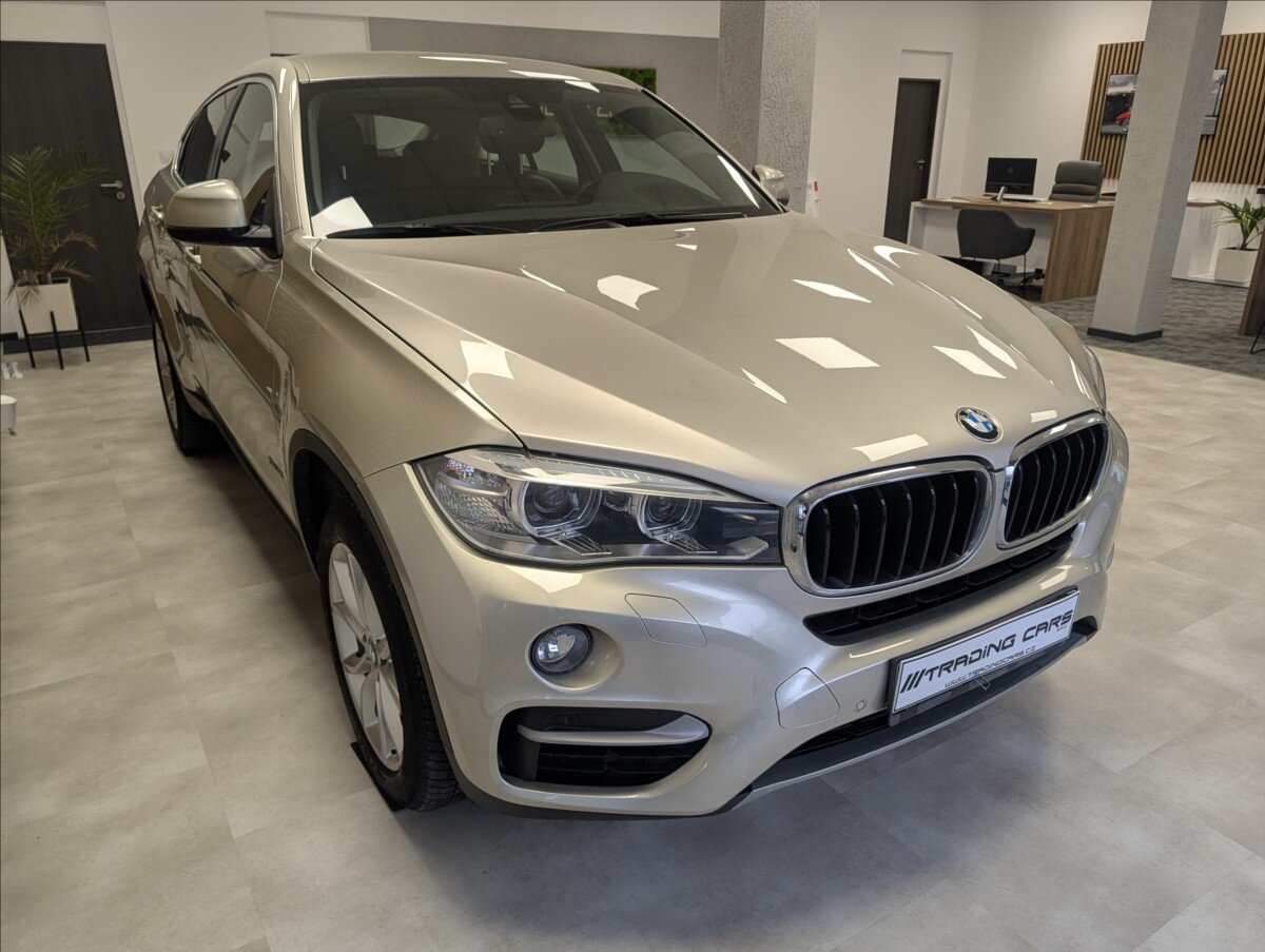 BMW X6 Sedan 3,0 l 190 kw