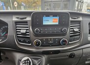 Ford Transit 11