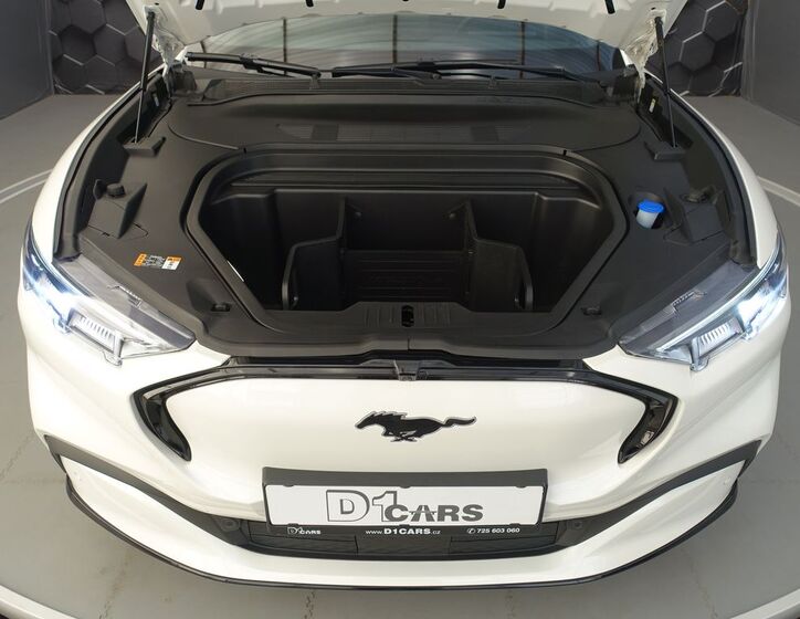 Ford Mustang Mach-E 40