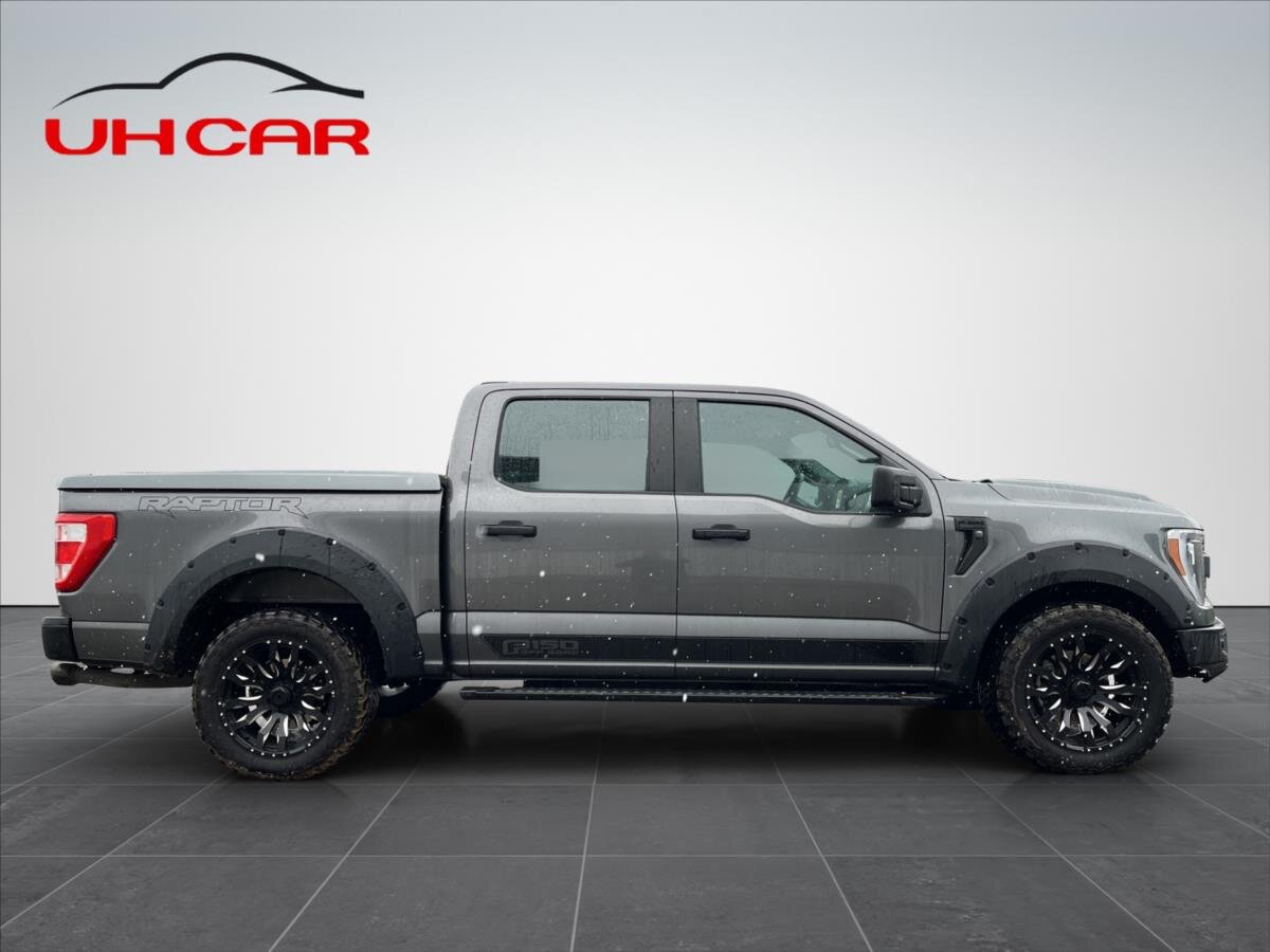 Ford F-150 Pick-up 5,0 l 298 kw