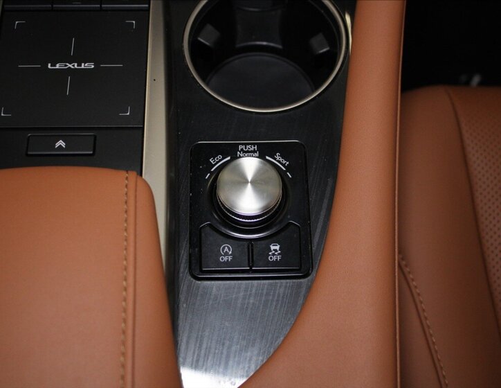 Lexus RX SUV / Terénní 2,0 l 175 kw