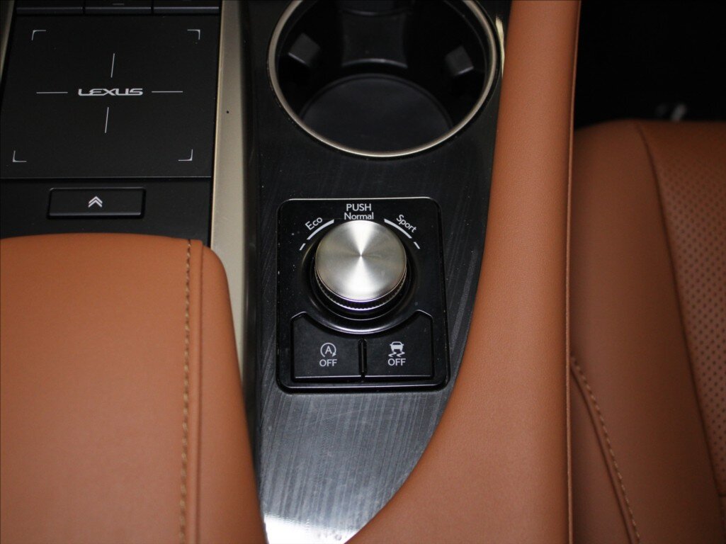 Lexus RX SUV / Terénní 2,0 l 175 kw