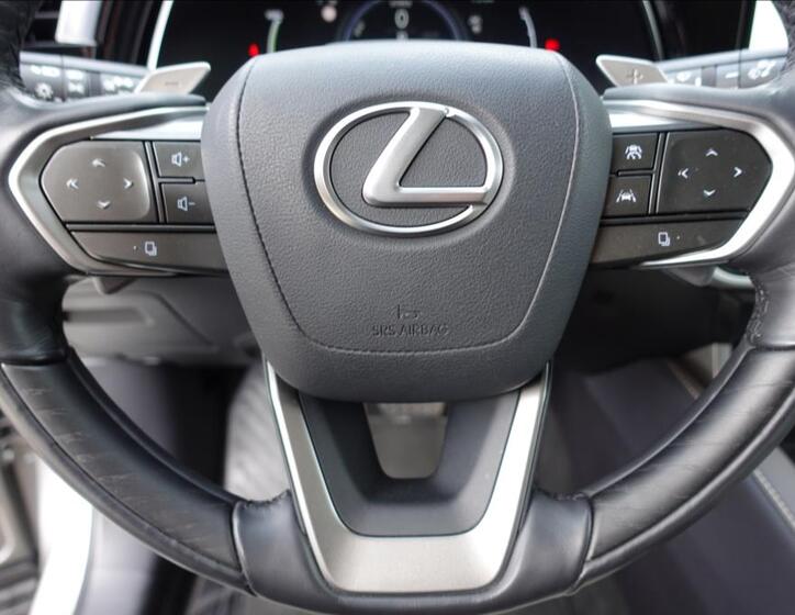 Lexus RX 450h plus 31