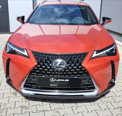 Lexus UX 250h 3